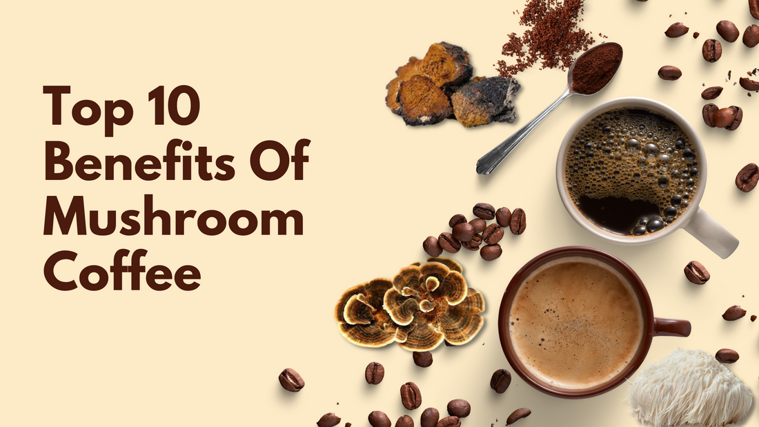 Top 10 Benefits Of Mushroom Coffee