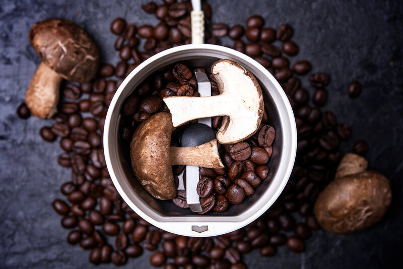 mushroom coffee