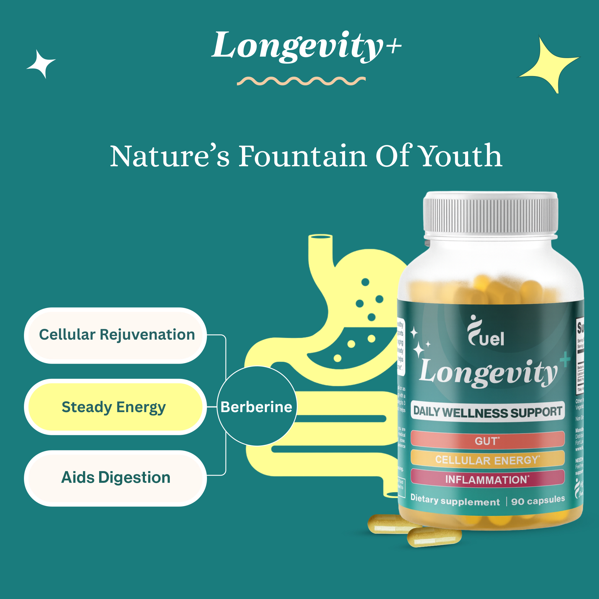 fuel glp 1 activator Fuel Natural Liposomal Berberine Hcl Supplement – Supports Metabolism, Hunger, Hormone Balance, Energy For Women & Men