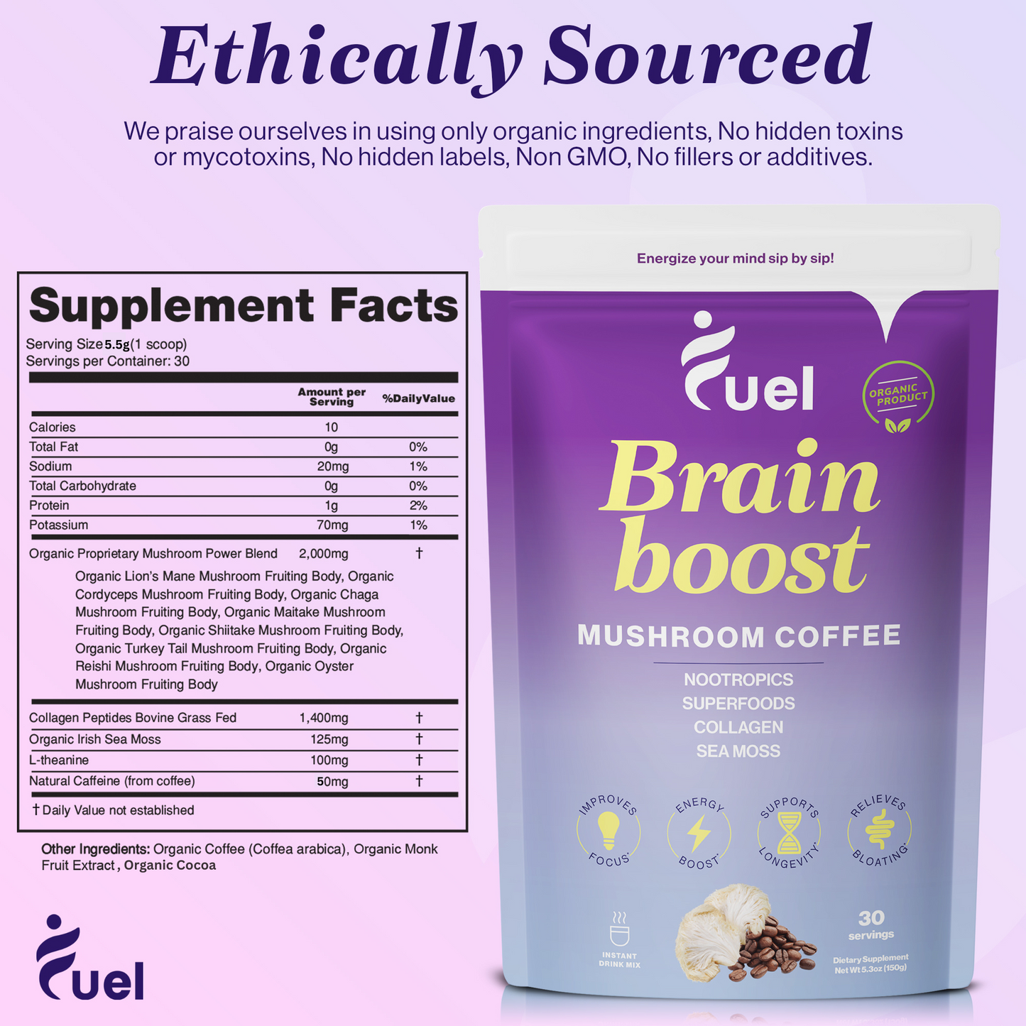 Brain Boost Mushroom Coffee