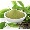 Green Tea Extract