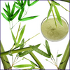 Bamboo Extract (Silica)