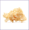 Tremella Mushroom Fruiting Body Extract