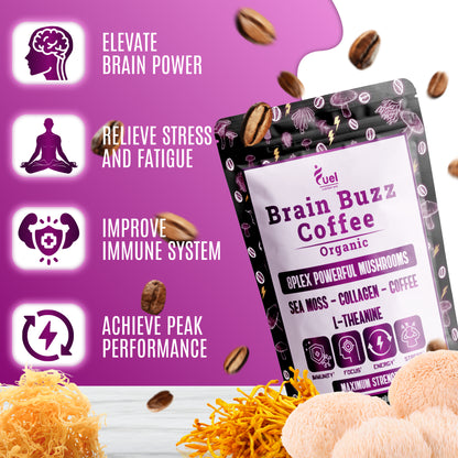 Brain Buzz Coffee (Holiday Special)