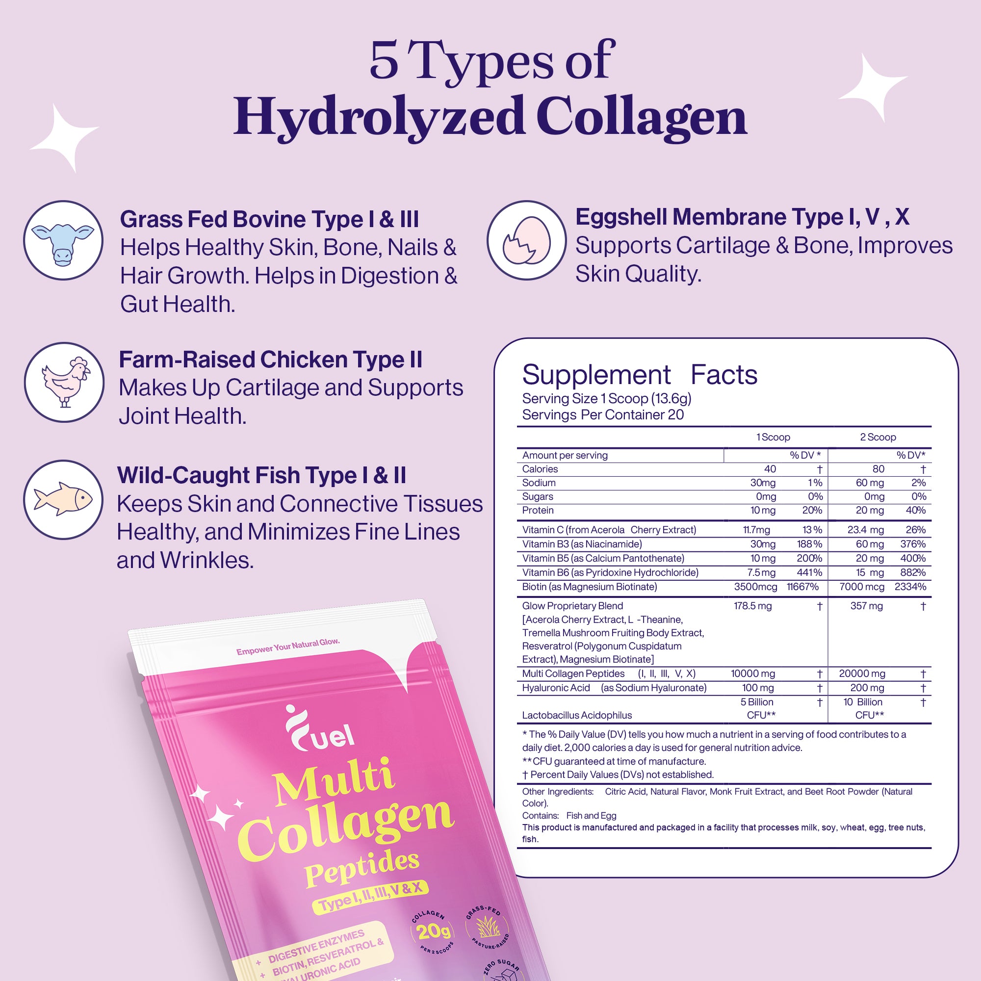 A single green leaf against a white background.