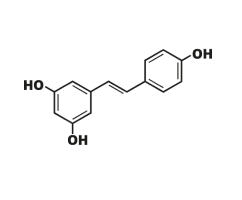 collagen Image